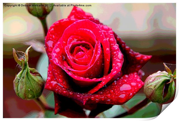 Red Rose Print by Debbie Metcalfe