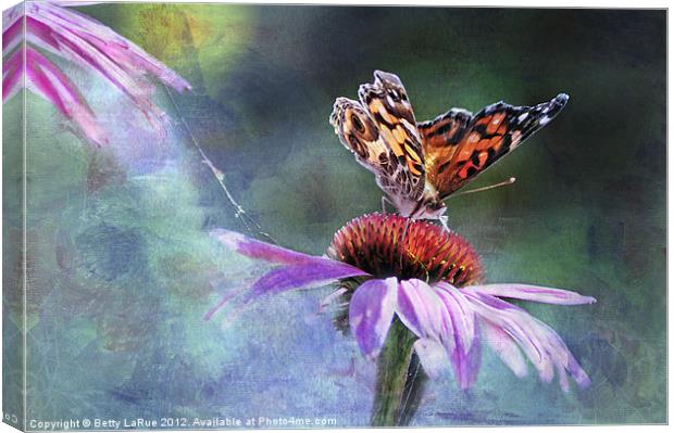 Sunlit Painted Lady Butterfly Canvas Print by Betty LaRue