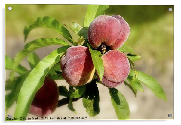 Peaches Acrylic by Karen Martin