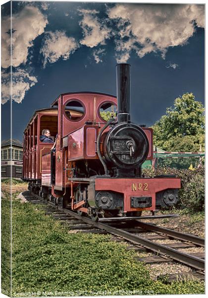 Bressingham train line Canvas Print by Mark Bunning