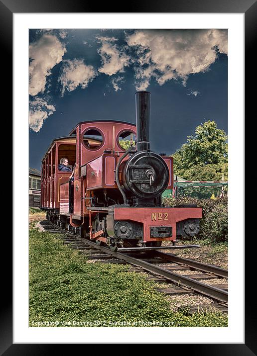 Bressingham train line Framed Mounted Print by Mark Bunning