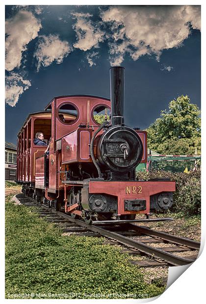 Bressingham train line Print by Mark Bunning