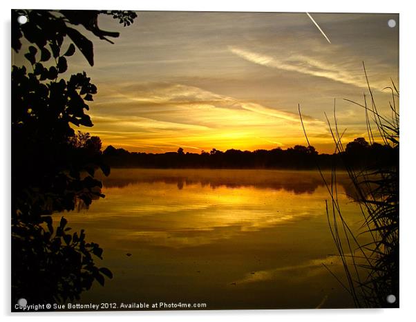 Sunrise Rickmansworth (2) Acrylic by Sue Bottomley