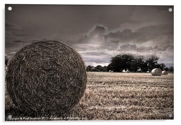 Harvest time in Norfolk Acrylic by Paul Holman Photography
