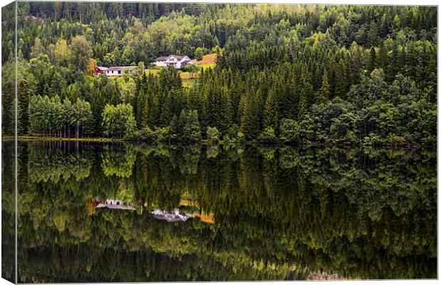 Reflected nature Canvas Print by Cristian Mihaila