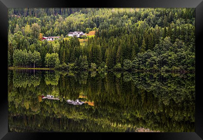 Reflected nature Framed Print by Cristian Mihaila