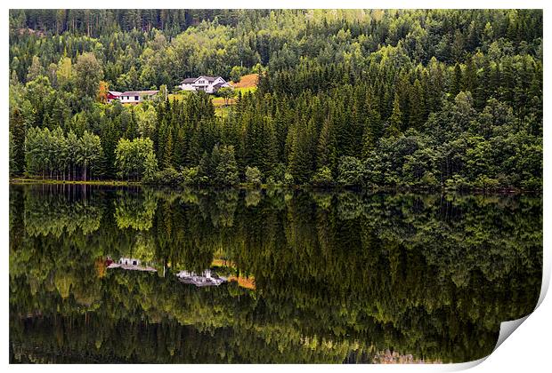 Reflected nature Print by Cristian Mihaila