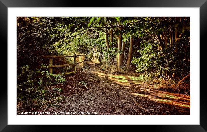 THE PATH Framed Mounted Print by Rob Toombs