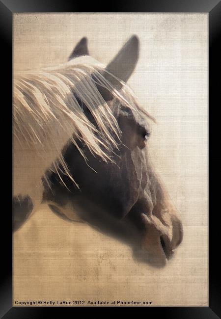 Paint Horse Portrait Framed Print by Betty LaRue