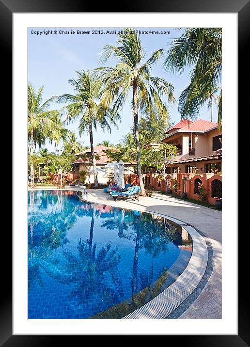 Tropical Swimming Pool Framed Mounted Print by Ankor Light