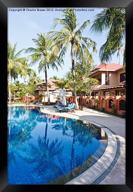 Tropical Swimming Pool Framed Print by Ankor Light