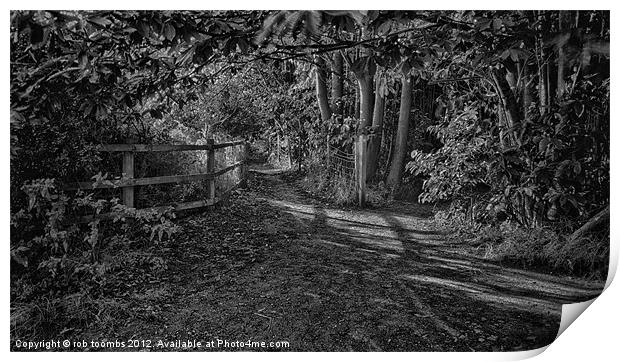 THE PATH MONO Print by Rob Toombs