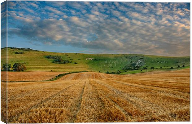 The Long Man of Wilmington Canvas Print by Phil Clements