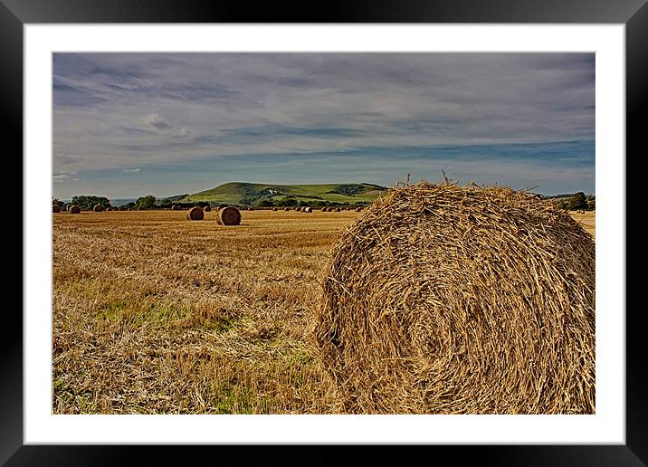 Firle Hay Bales Framed Mounted Print by Phil Clements