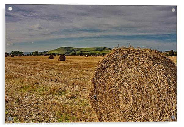 Firle Hay Bales Acrylic by Phil Clements