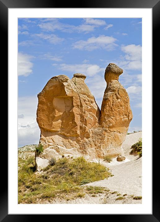 Sandstone weathered Camel Framed Mounted Print by Arfabita  