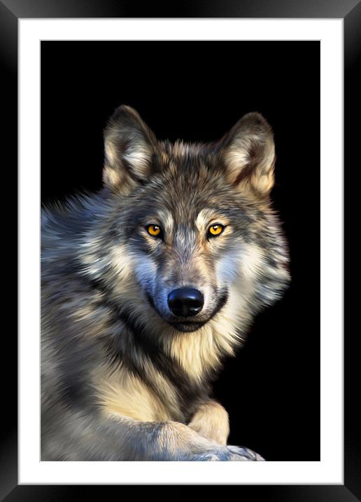 Jacob Wolf Framed Mounted Print by Julie Hoddinott