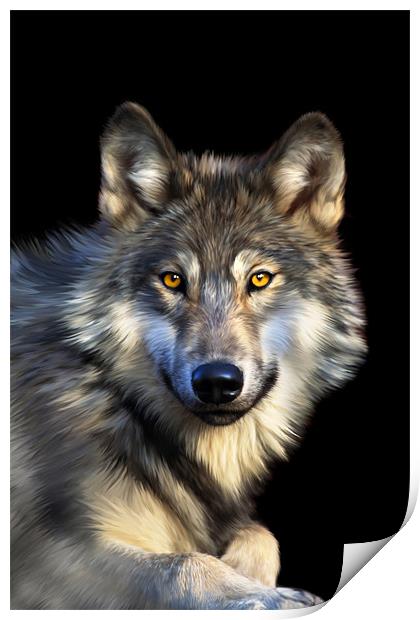 Jacob Wolf Print by Julie Hoddinott