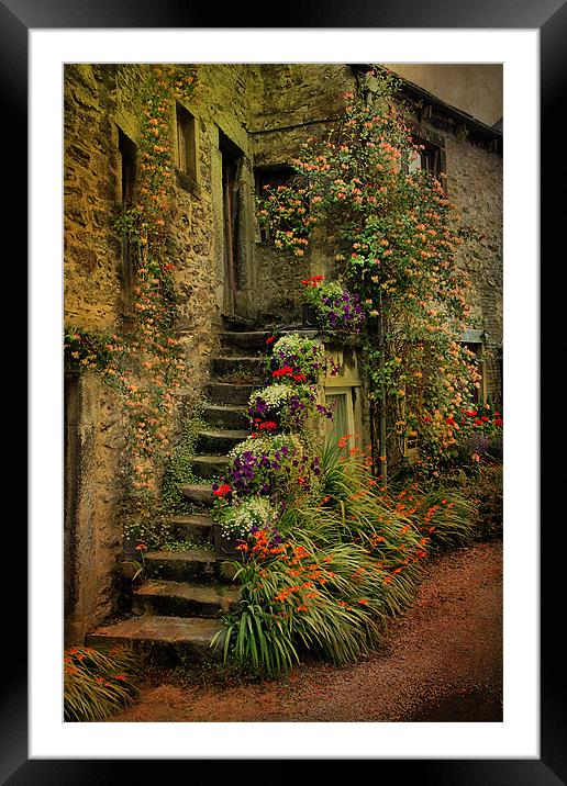 The Steps Framed Mounted Print by Irene Burdell