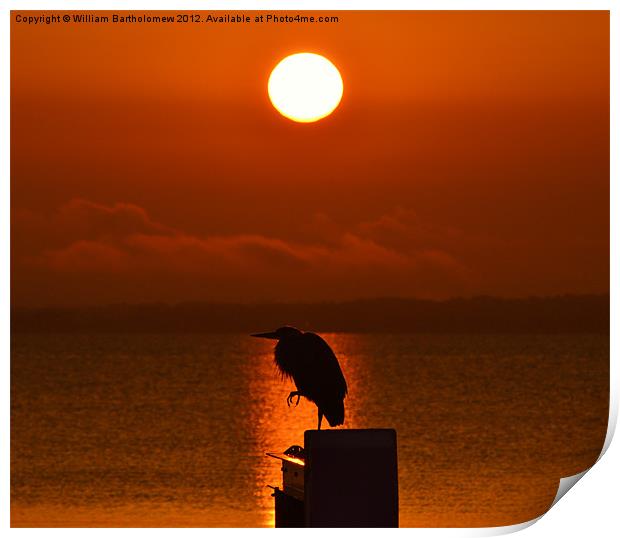 Heron Silhouette Print by Beach Bum Pics