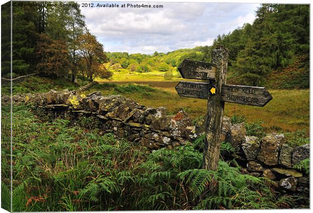 This Way To Tarn Hows Canvas Print by Jason Connolly