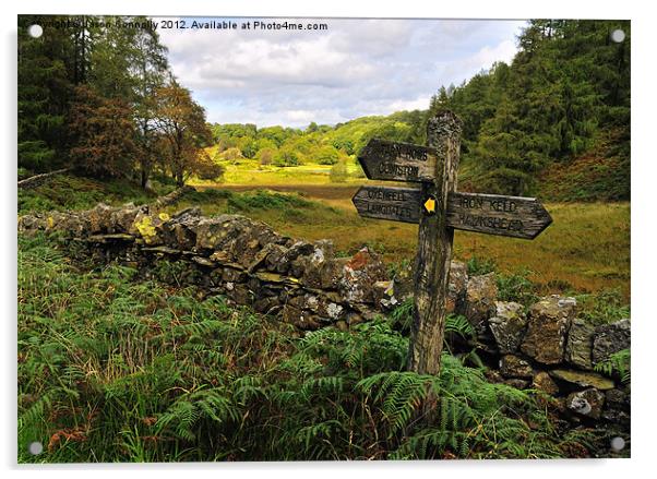 This Way To Tarn Hows Acrylic by Jason Connolly