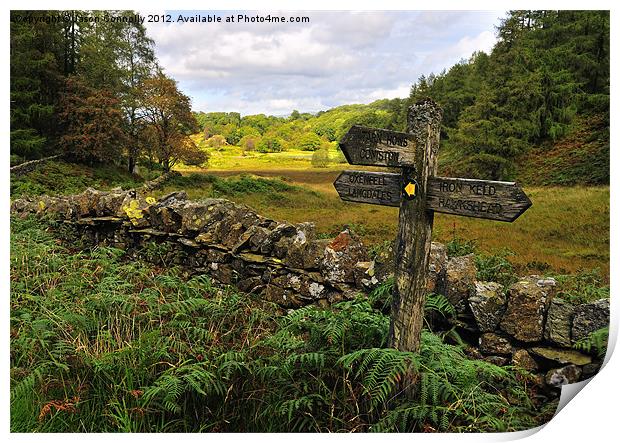 This Way To Tarn Hows Print by Jason Connolly