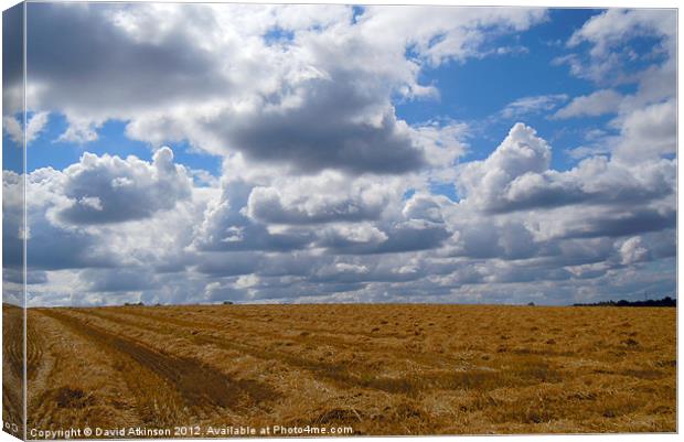 AFTER THE HARVEST Canvas Print by David Atkinson
