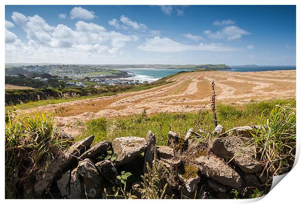Fields Above Hayle Bay Print by Jonathan Swetnam