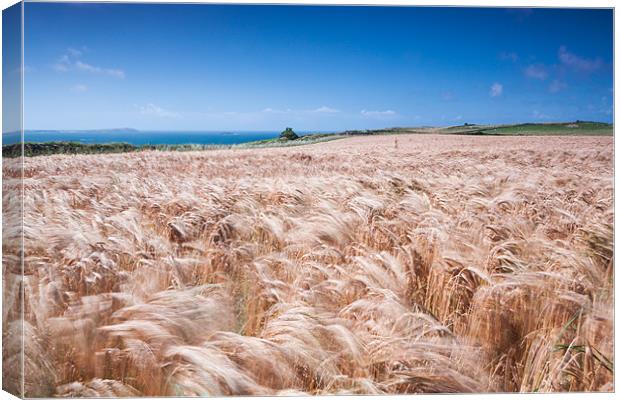 Waves of Grain Canvas Print by Jonathan Swetnam