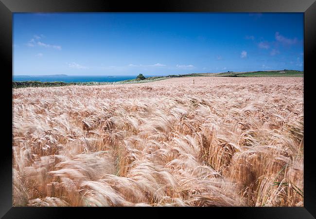 Waves of Grain Framed Print by Jonathan Swetnam