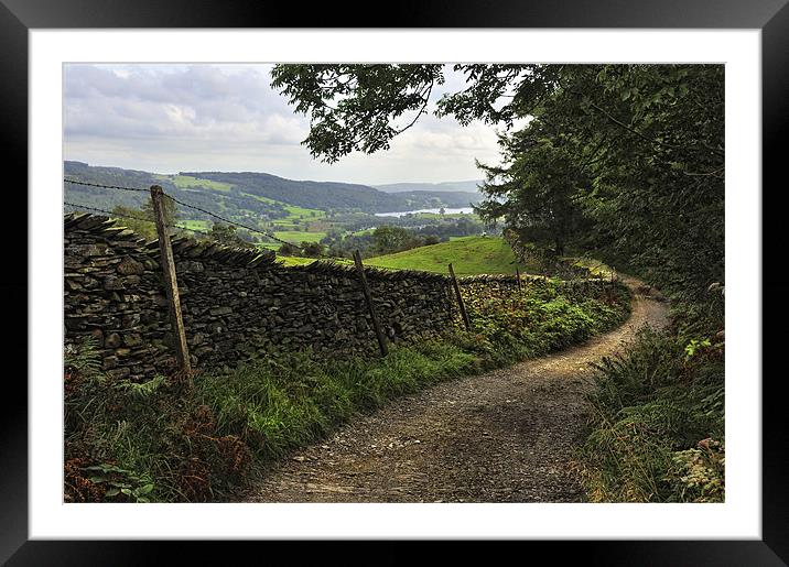 The Lane To Hawkshead Framed Mounted Print by Jason Connolly