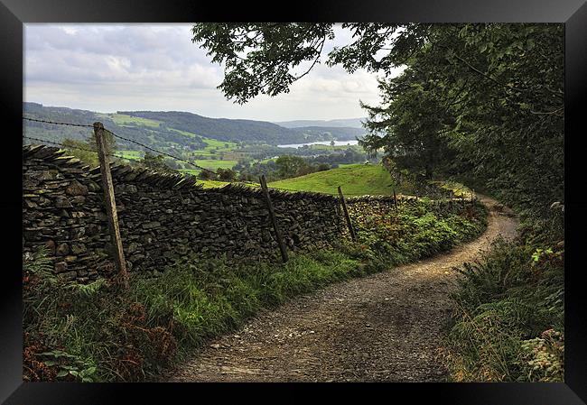 The Lane To Hawkshead Framed Print by Jason Connolly