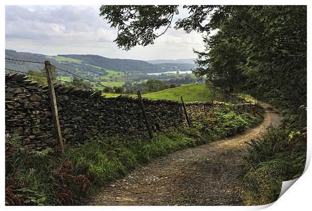 The Lane To Hawkshead Print by Jason Connolly