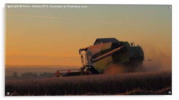 Claas Tucano 440 Acrylic by Steve Adams