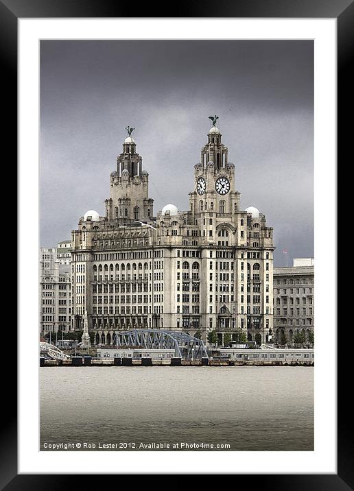Royal Liver Buildings, Liverpool Framed Mounted Print by Rob Lester
