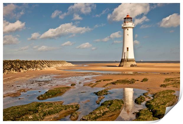 SUNNY PERCH ROCK Print by raymond mcbride