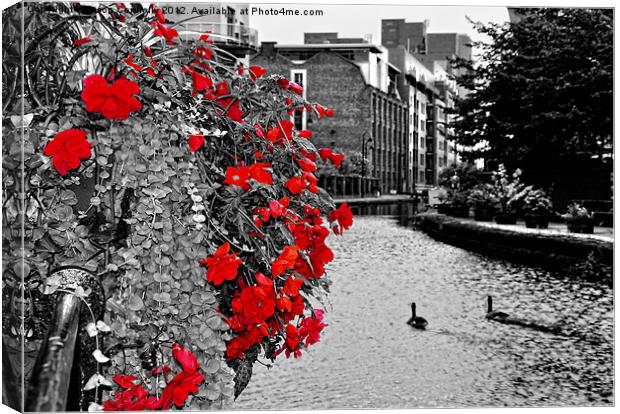 Flowers On The Canal Canvas Print by Jason Connolly
