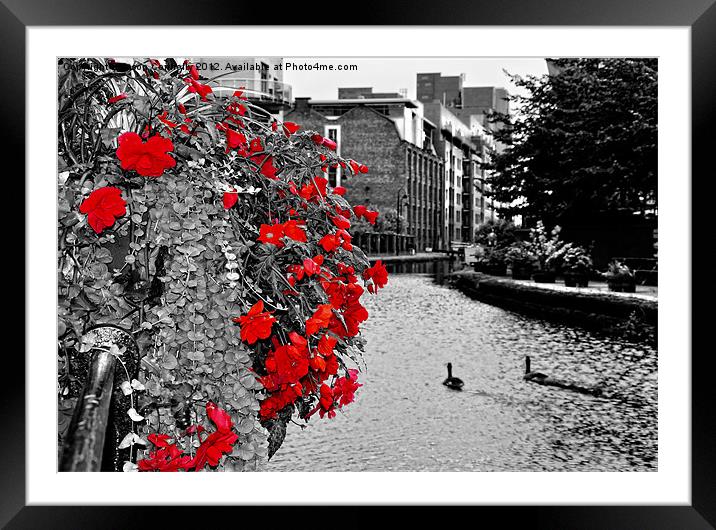 Flowers On The Canal Framed Mounted Print by Jason Connolly