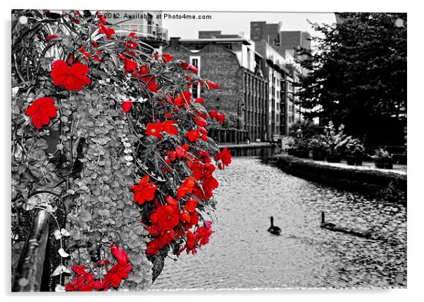 Flowers On The Canal Acrylic by Jason Connolly