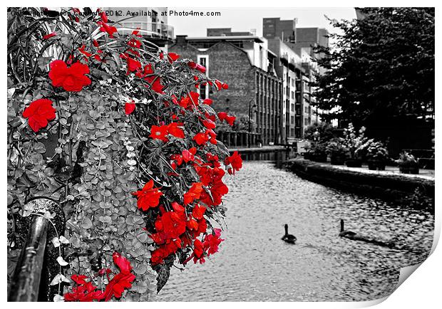 Flowers On The Canal Print by Jason Connolly