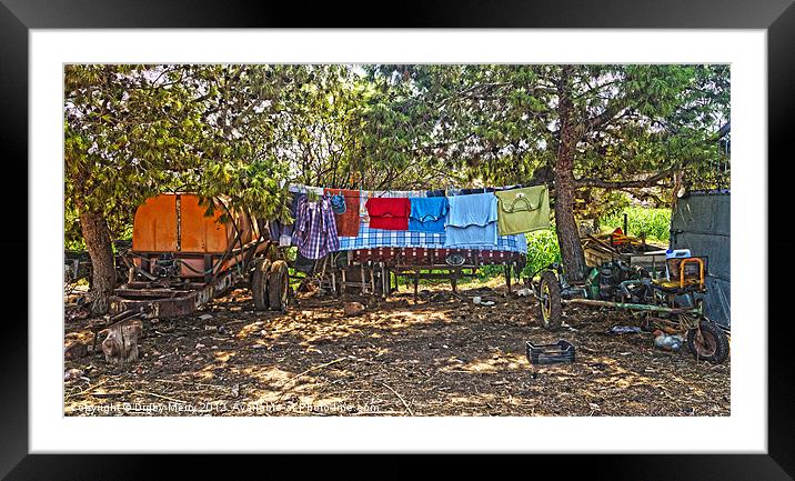 Farmyard washing Line Framed Mounted Print by Digby Merry