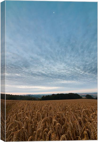 Moon at Sunrise Canvas Print by Jonathan Swetnam