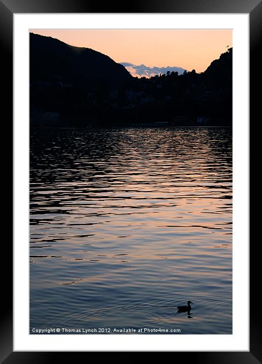 Sunset on Lake como Framed Mounted Print by Thomas Lynch