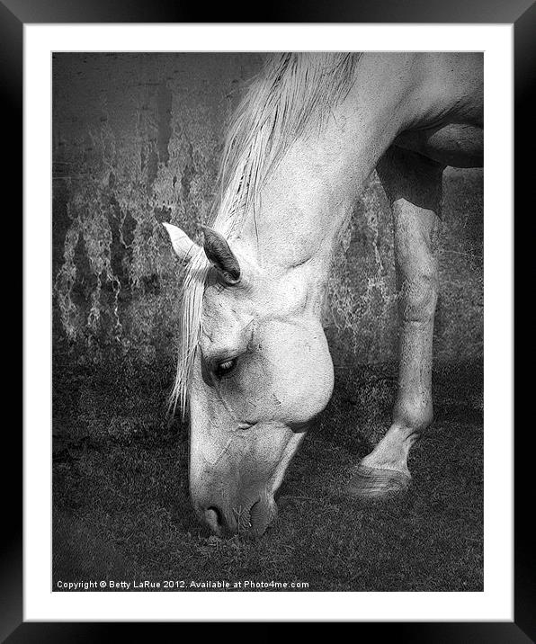 Belle Framed Mounted Print by Betty LaRue