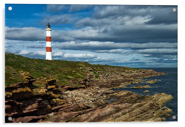 Tarbet Ness Lighthouse Acrylic by Jacqi Elmslie
