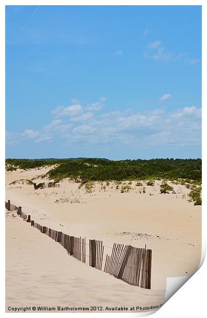 Dune Fence Print by Beach Bum Pics