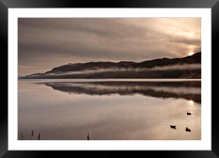 COLD MISTY MORNING(Ducks on the loch) Framed Mounted Print by raymond mcbride