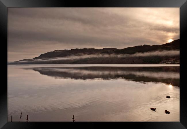 COLD MISTY MORNING(Ducks on the loch) Framed Print by raymond mcbride