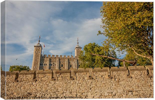 Tower of London Canvas Print by Dawn O'Connor